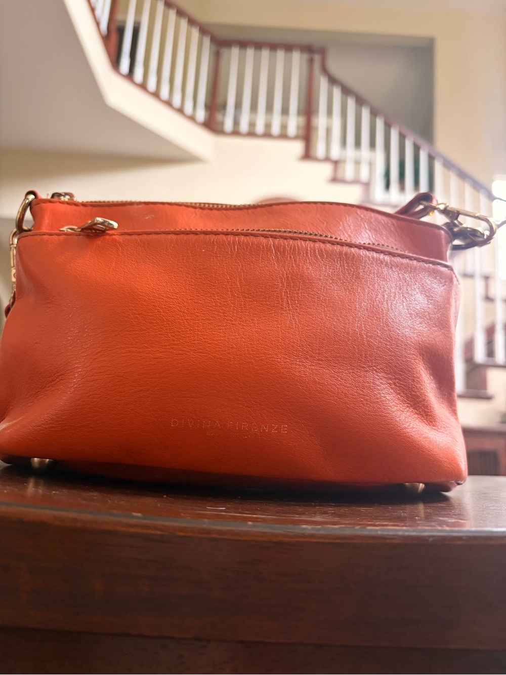 🧡Divina Firenze Leather Bag